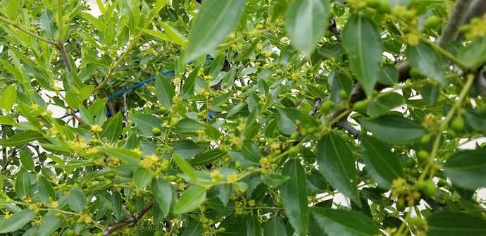 15302138239763513198791522281096