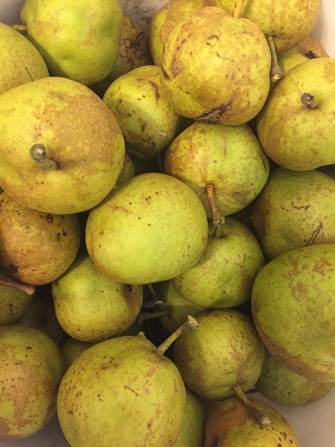 B5341F52-1CDF-40FE-86B5-6DD9CA78A1CF