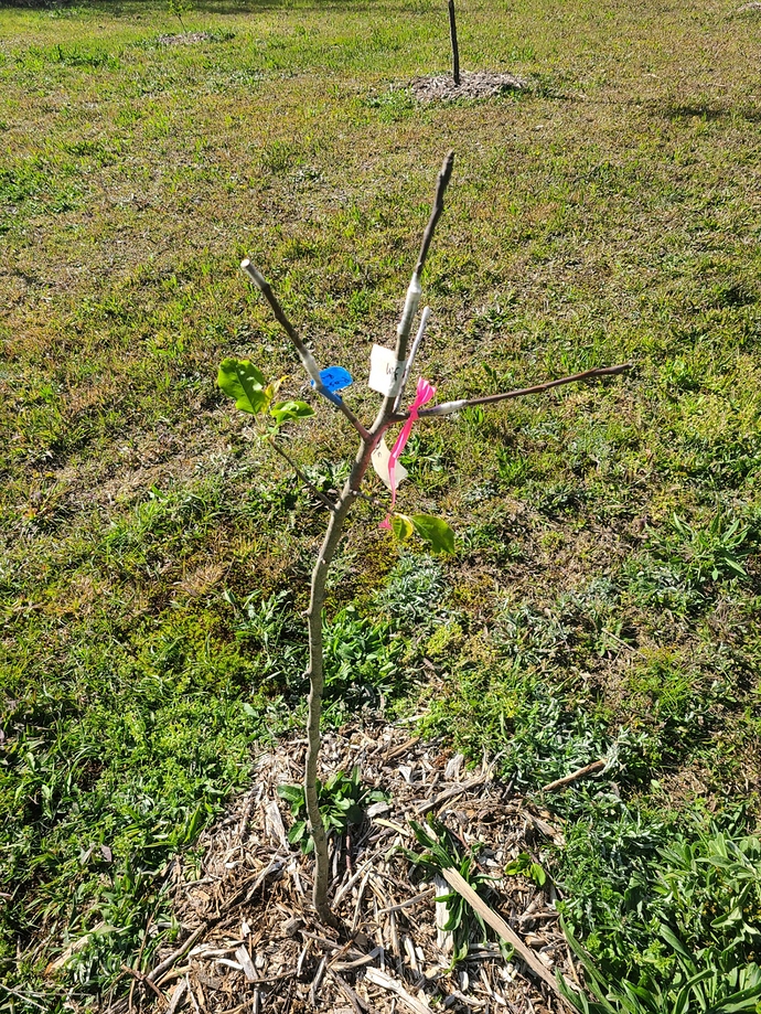 20200421_163024_copy_1612x2149