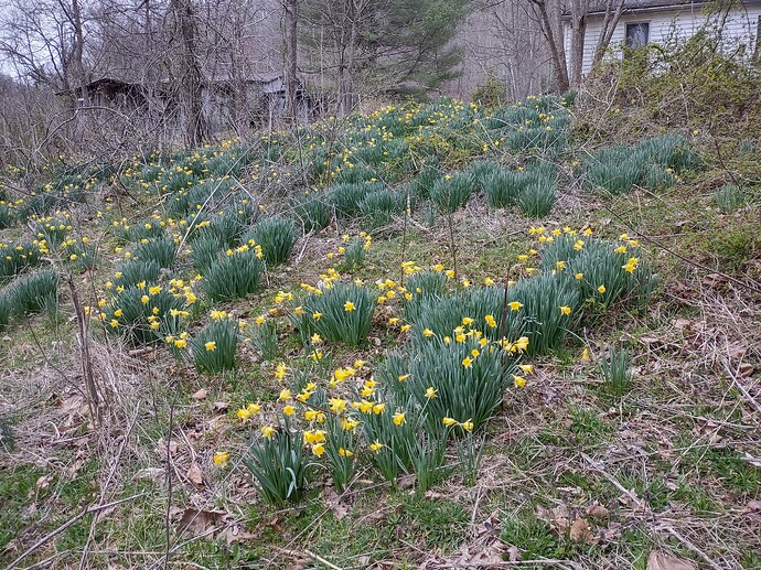 IMG_20250327_172633769_HDR