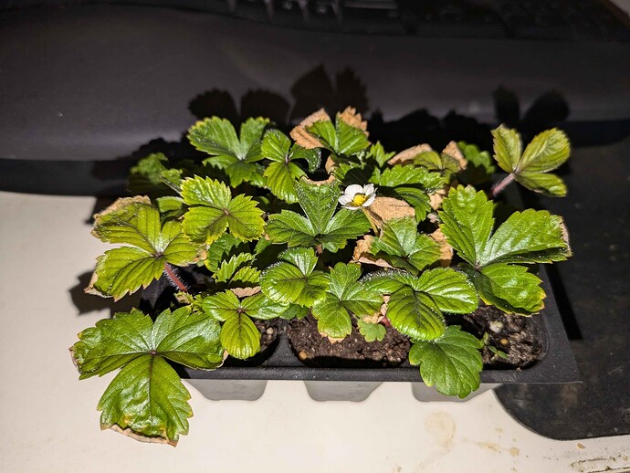 PXL_20240709_010821223