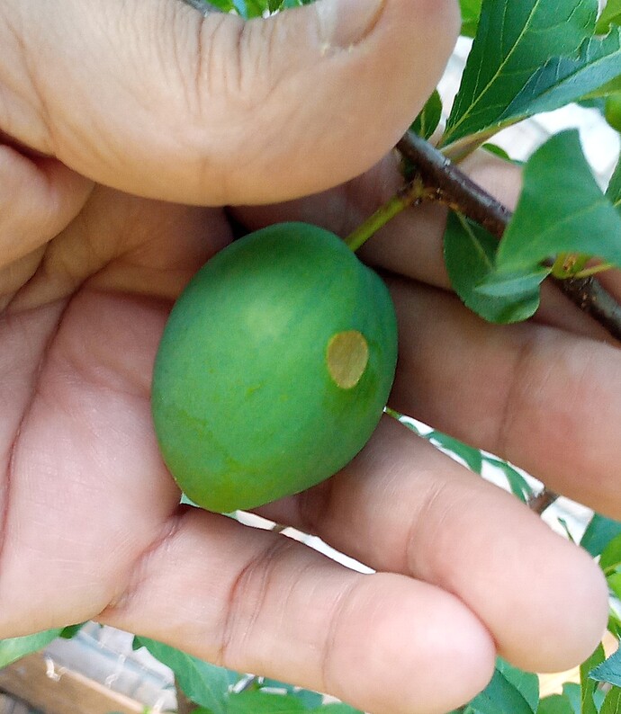 IMG_20240423_172717~2