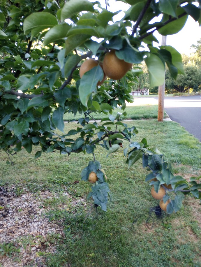 IMG_20220825_075516628