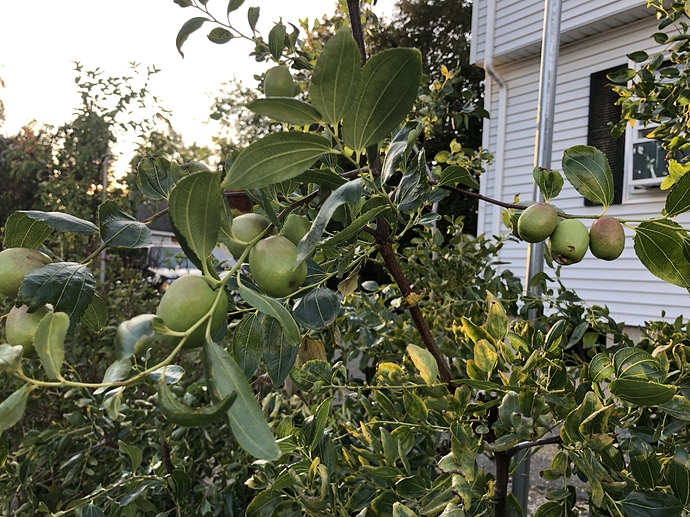 Allentown_09-18-2020