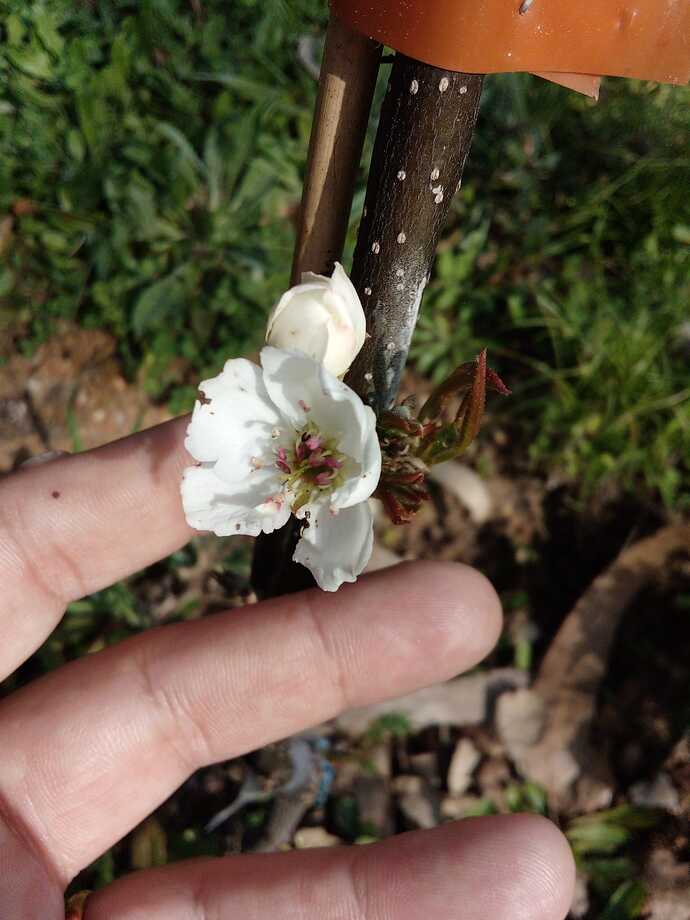 Imagem WhatsApp 2023-03-28 às 18.47.50