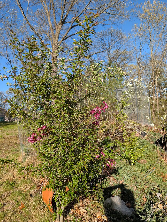 PXL_20250428_213501343