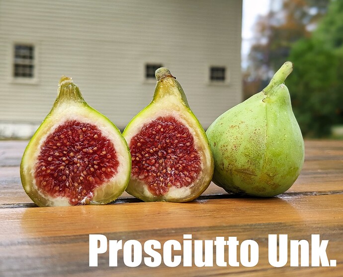 Prosciutto Unk_2024