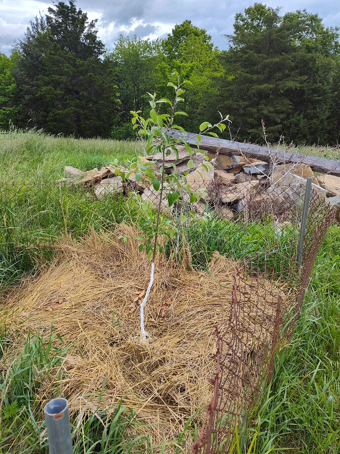 IMG_20250522_085554806_HDR