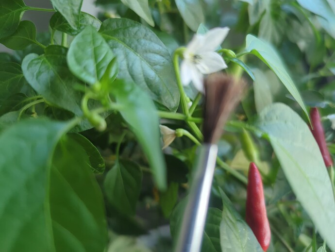 1741551642016494988380666284364