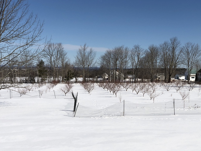 3F01921F-3BA5-4289-8793-3AA0EF7FA0DF