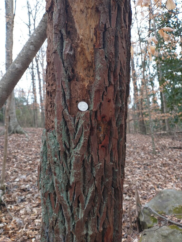 IMG_20240228_102457426