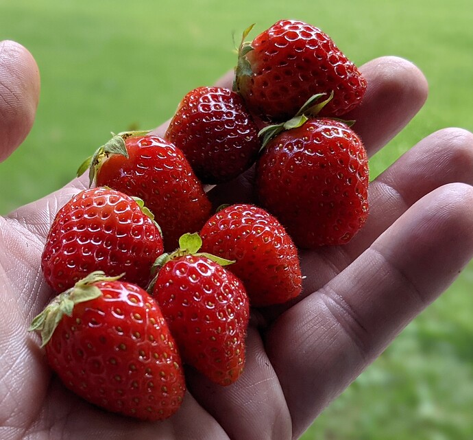 PXL_20210527_230304056.PORTRAIT