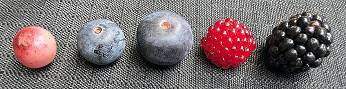 PXL_20240708_230445318