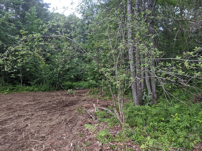 PXL_20210714_221417449