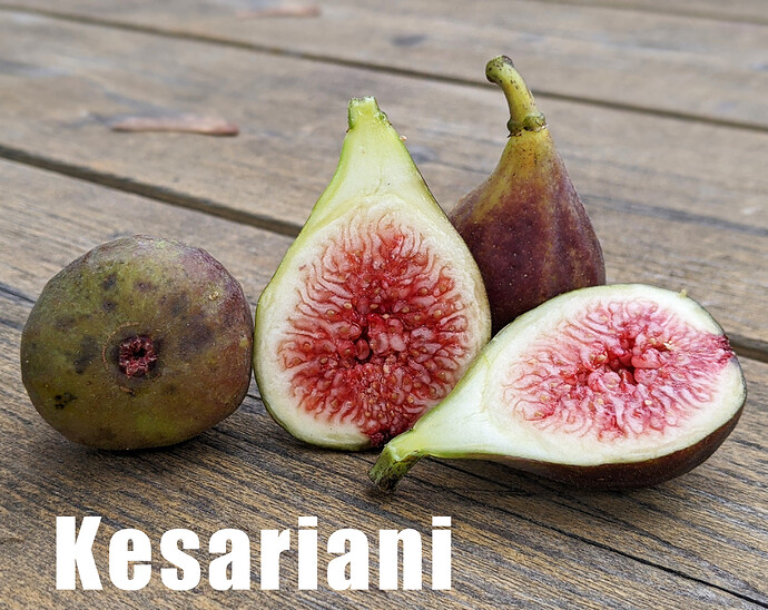 Kesariani