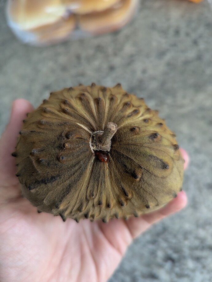 PXL_20250526_125639657