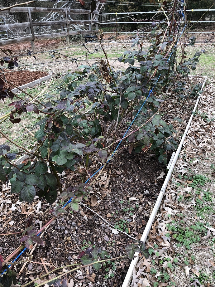 9AD0A113-6BBF-4E9D-B912-E51B23CE1439