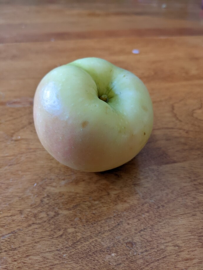 PXL_20220811_120624906