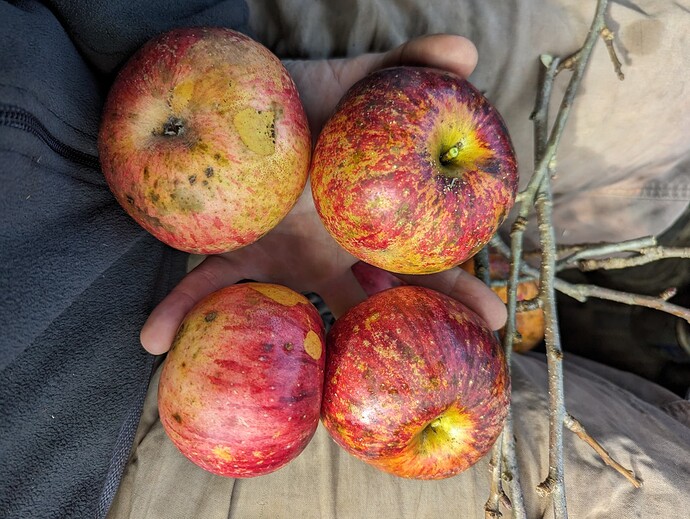 PXL_20231109_165237835