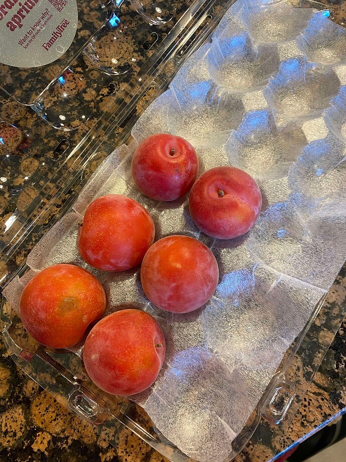 454598358_1261637874836302_5939345457956327116_n