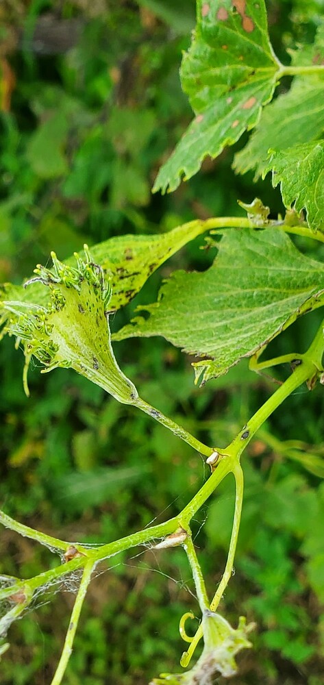 Screenshot_20250519-192600_Photos