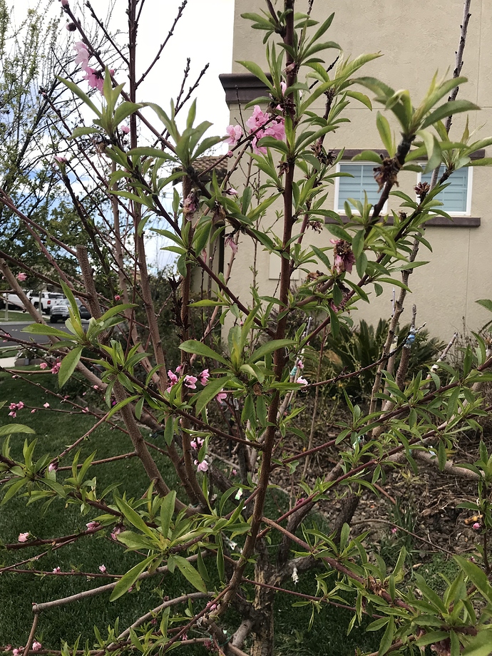 06B97B56-D6EB-4B62-A9DA-2AAF31D7A436