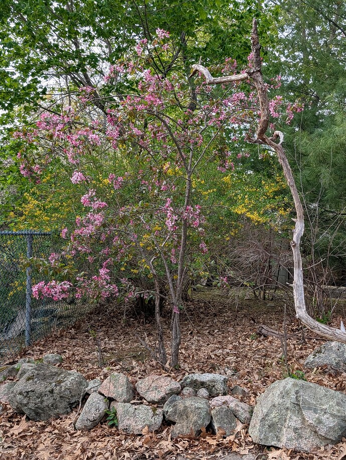 PXL_20250429_211038235