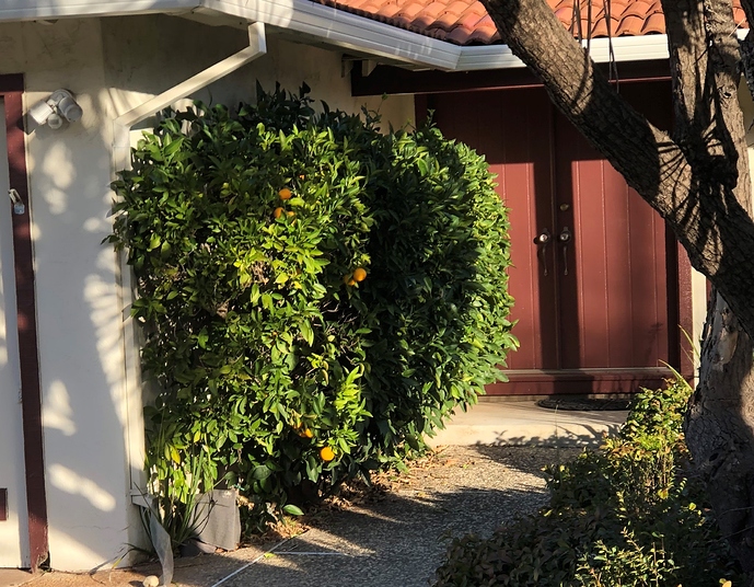 20190124_164008200_iOS%20(2)