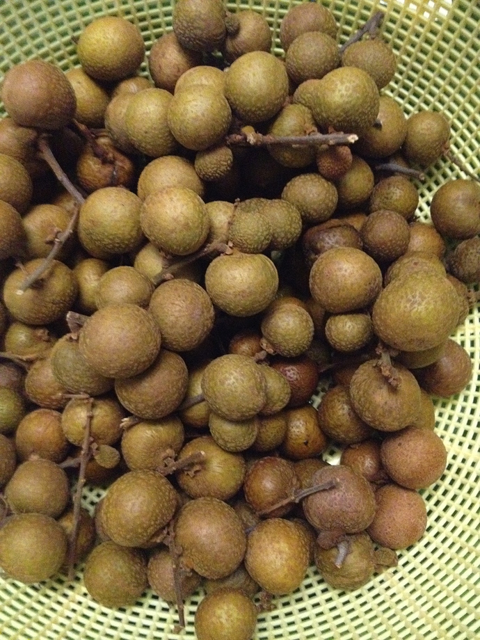 Longan