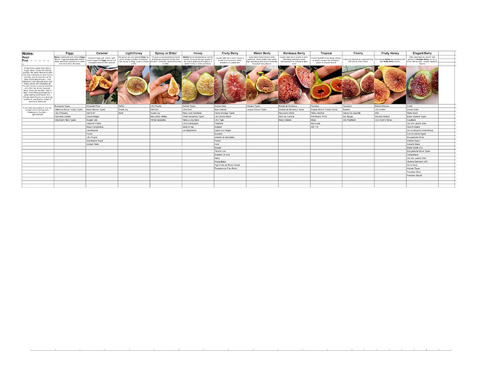 Cultivar List - Figs by Flavor Group
