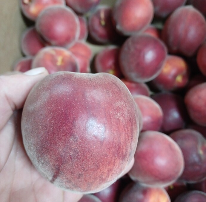 Screenshot_20250605_115812_Gallery