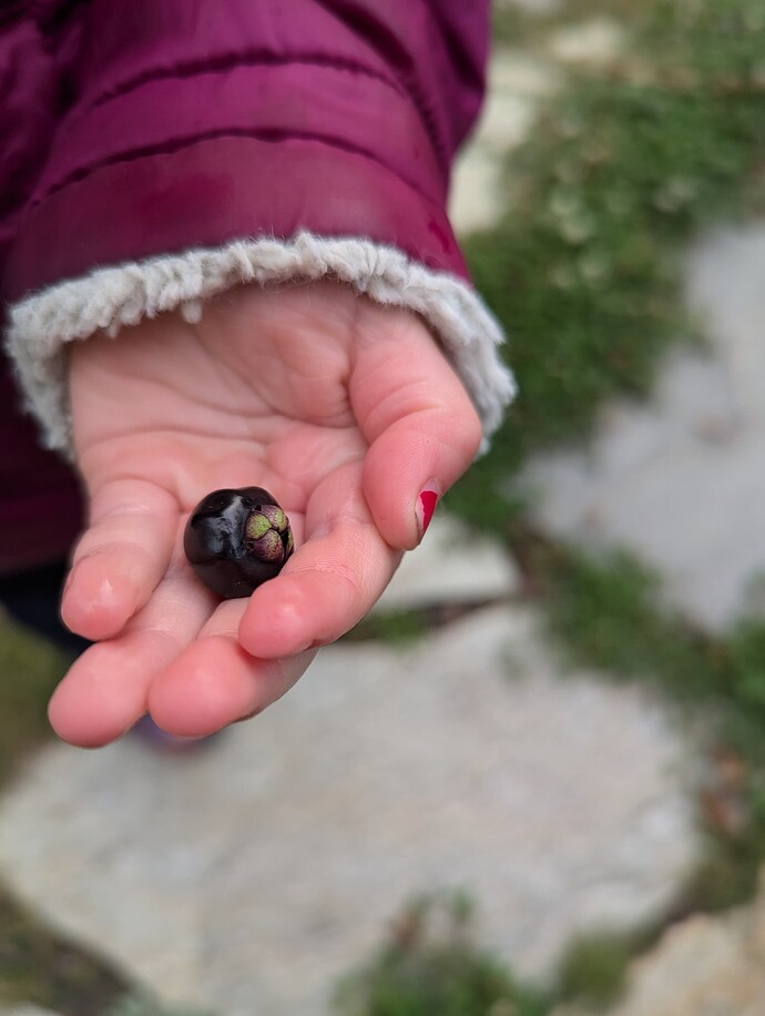 PXL_20241020_002133366