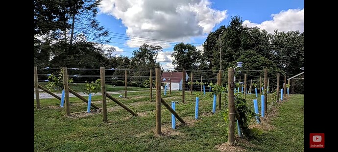 Screenshot_20231004-182436