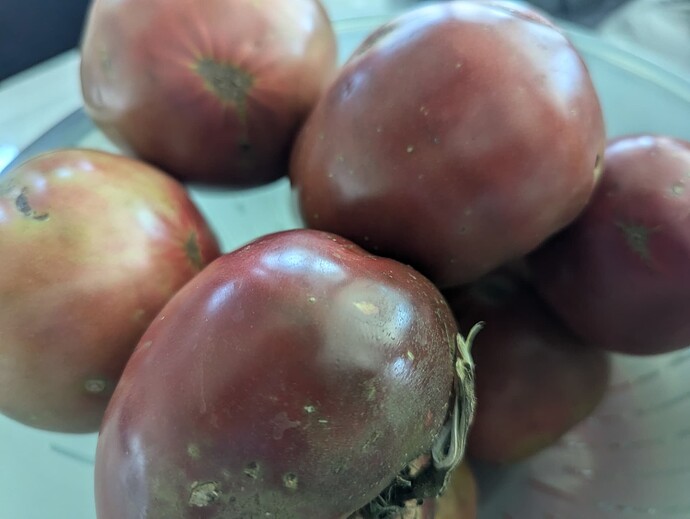 PXL_20240728_155058018.MP