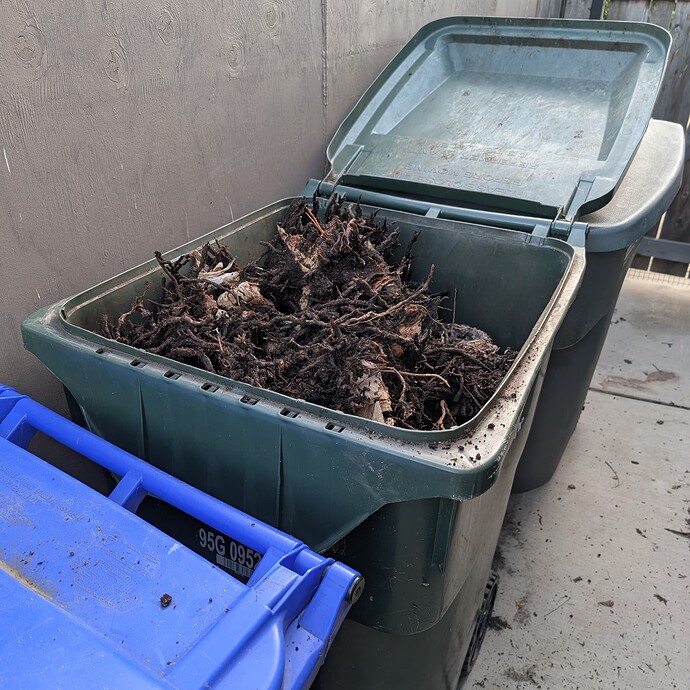 PXL_20250228_010041837