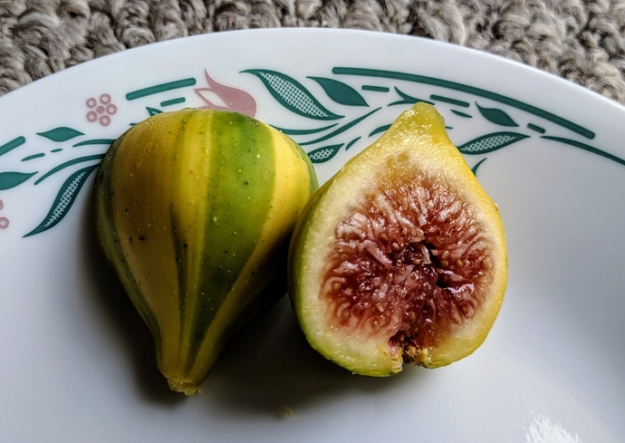 Bordissot%20Blanca%20Rimada%2008-31-2019