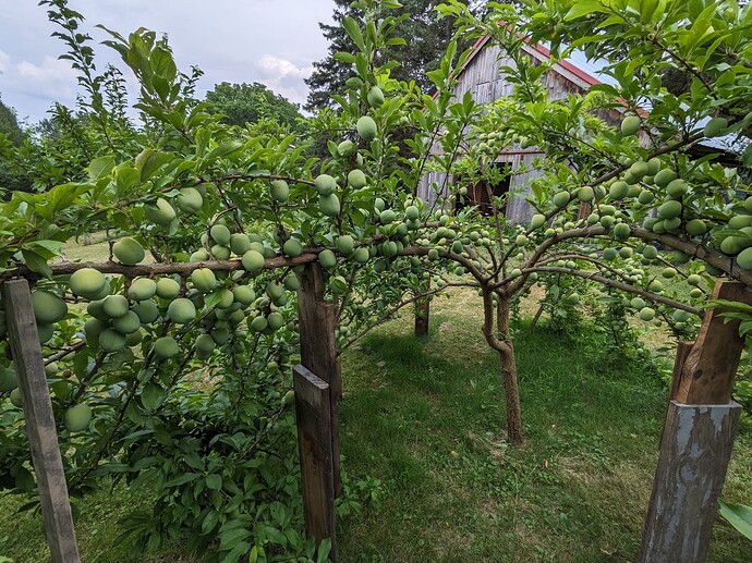 PXL_20240709_221248167