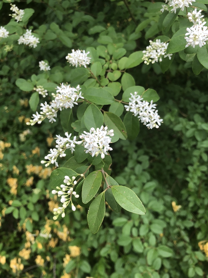 06D91391-811E-491D-83FA-C519A4698B4D