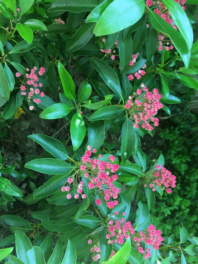 AE429FE3-3AD2-40A0-86CE-051276A49A74