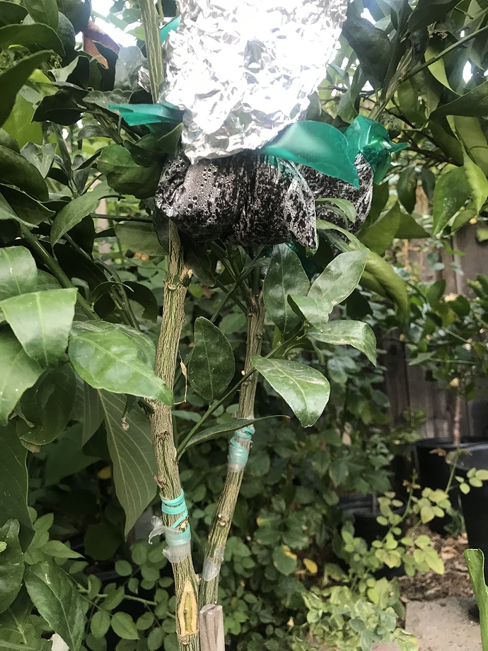 11A38D25-8795-49E4-A8D5-0A94B3E9FC49