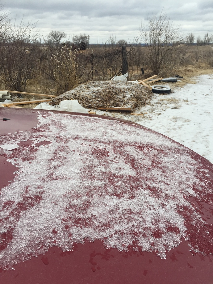 31343B94-228C-40C5-9E49-8553E511CC5A