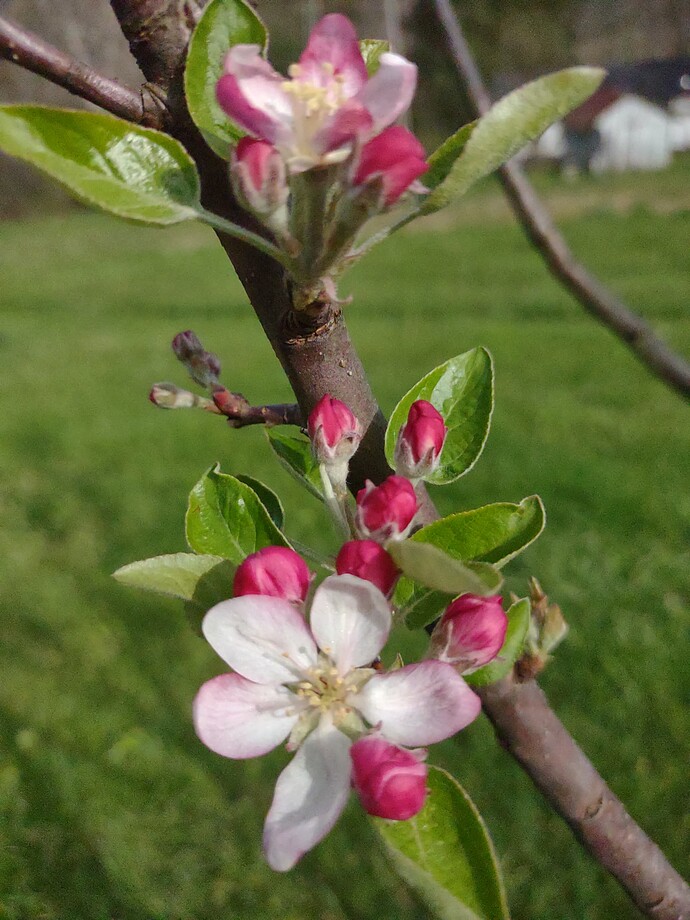 IMG_20250416_172257161