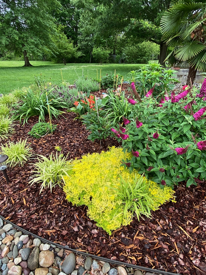 61244536835__D9D0D1EF-A02A-4364-B527-BEFCDDE094F7