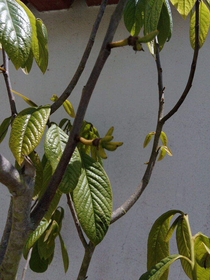 IMG_20210512_130226