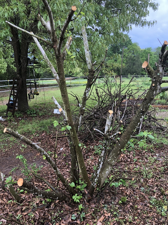 03184EAD-95DC-467F-BA25-7CA293F1916A