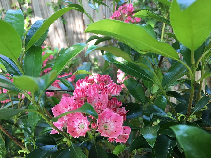 A1F732E3-4F1E-4C8D-A392-BBF01285DCBD