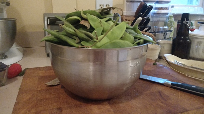 IMG_20161001_185901964