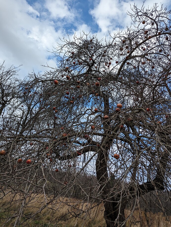 PXL_20231109_164849290