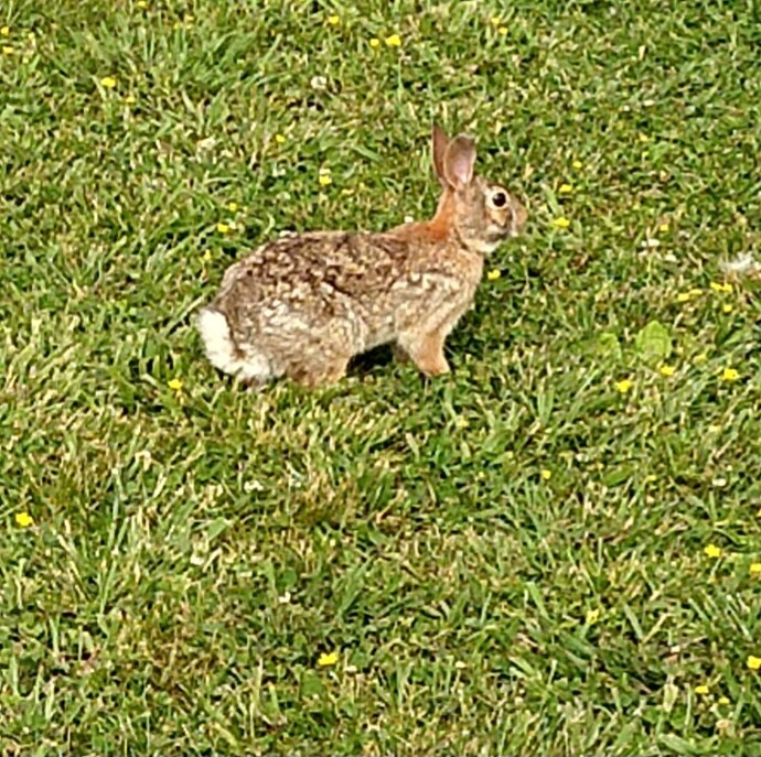 Screenshot_20241016_195808_Gallery