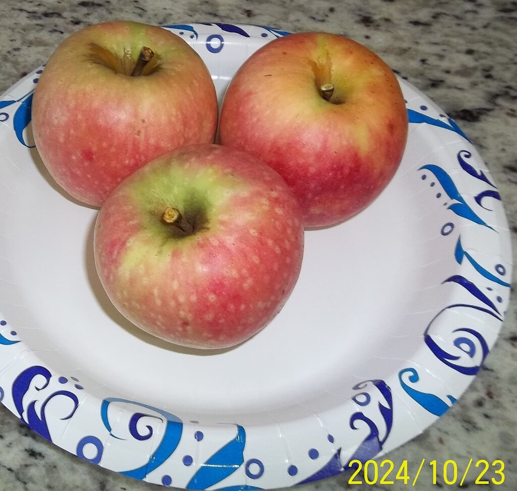 Pink Lady is one of my favorites Pictures! Growing Fruit